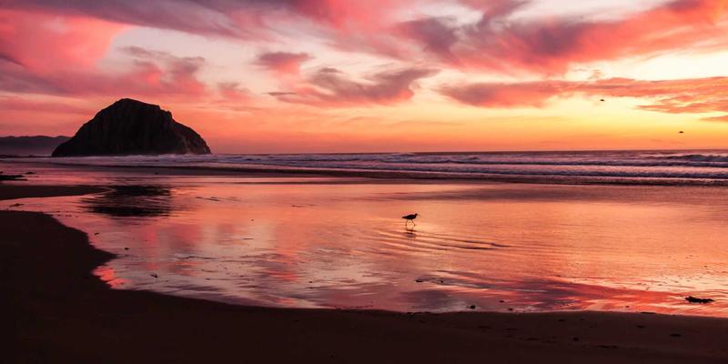 日照中汇培训深度评测：职业资格认证与技能提升的黄金桥梁