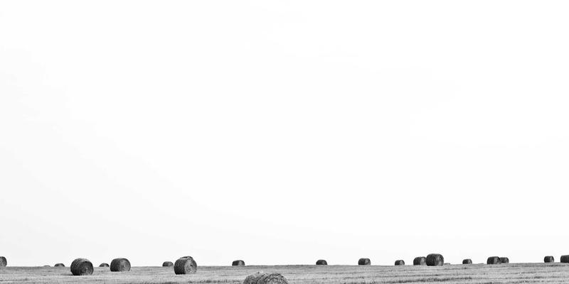 日照中汇培训：跨境电商运营实操课程内容解析与市场价值