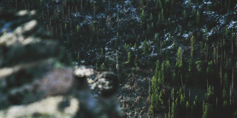 日照企业内训体系搭建指南：如何通过定制化语言与IT培训提升团队核心竞争力