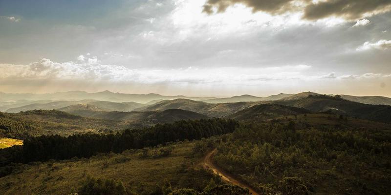 日照企业内训定制指南：融合语言培训与职业认证，打造本地化人才培养体系