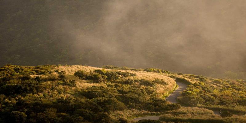 日照供应链管理师认证培训：优化企业采购与库存成本的专业教育咨询