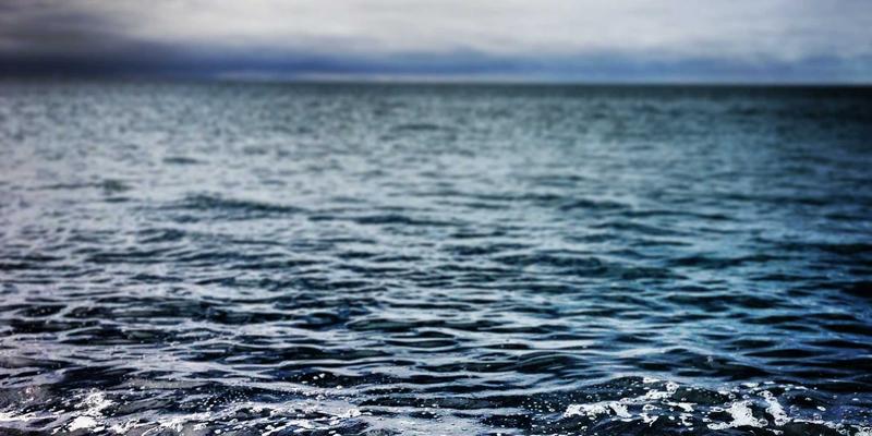 日照养老机构院长高级研修班：管理升级与服务标准化的智慧路径