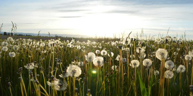日照培训48：语言、IT与职业技能三维赋能，打造港城人才新引擎
