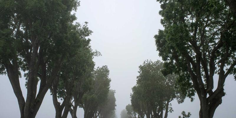 日照培训51：解锁语言培训与职业认证的双重竞争力