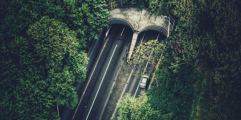 日照培训57：职业技能与语言能力双轨并进，开启职业发展新篇章