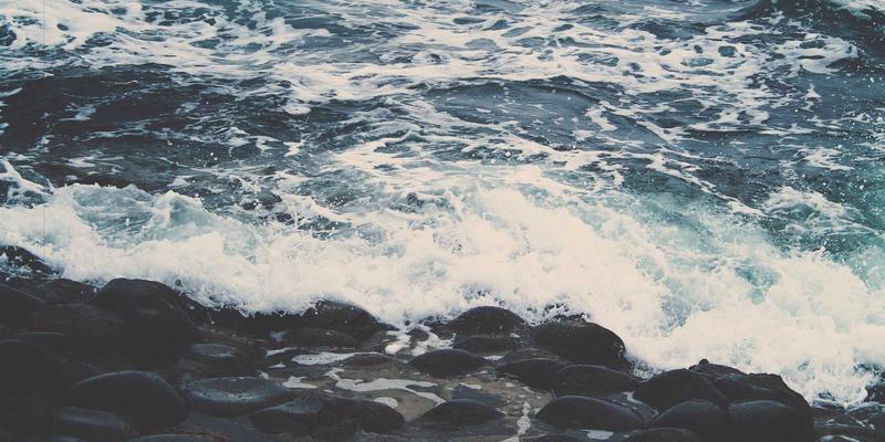 日照培训92：解锁教育咨询、语言培训与职业认证的成长密码