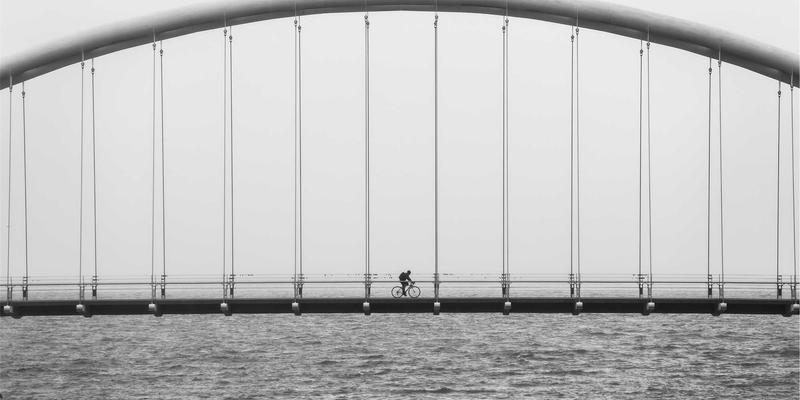 日照培训应用：打通职业资格认证、教育咨询与IT培训的数字化桥梁