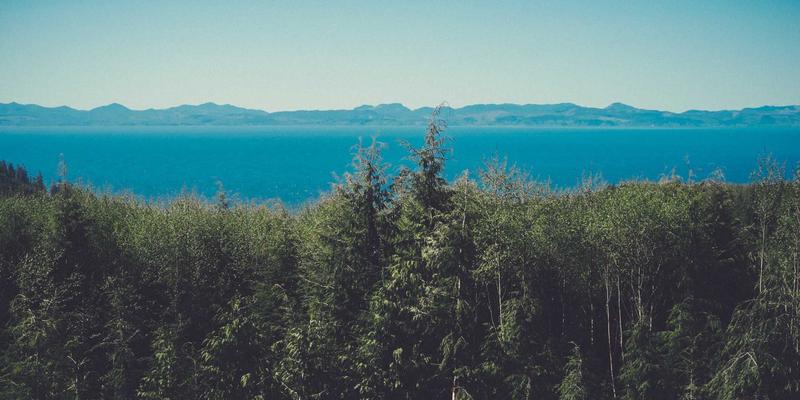 日照培训技巧全解析：如何高效提升职业技能与IT竞争力