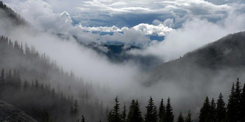 日照培训行业前景展望：教育咨询、语言与职业技能培训的融合发展