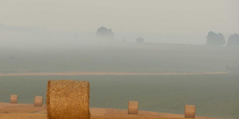 日照家庭教育指导师培训：中汇培训专业课程，解决育儿难题的智慧选择