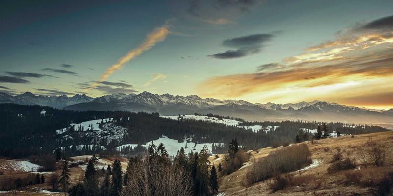 日照月嫂育儿嫂专业技能培训与就业前景分析：中汇培训如何助力职业资格认证与语言能力提升