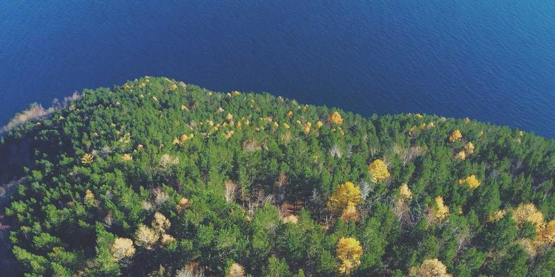 日照职业技能提升补贴全攻略：职业资格认证、语言与IT培训如何申领？