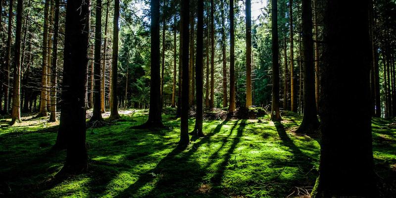 日照财务总监高级研修班：赋能企业战略与资本运作实战能力