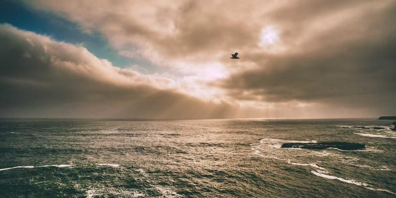 日照退役军人职业技能转型培训：政策解读与热门行业选择 | 中汇培训IT培训指南