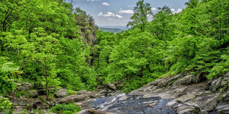 职业技能培训赋能日照民宿：IT培训与在地文化体验的双重升级
